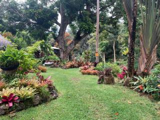 ROMATIC WATERFALL CABIN in the Rainforest - Honokaa - 4