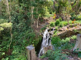ROMATIC WATERFALL CABIN in the Rainforest - 1