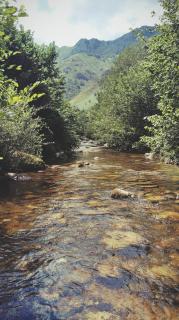 La casina Redes -Tlf 67964 nueve cero tres uno - Villamorey - 5