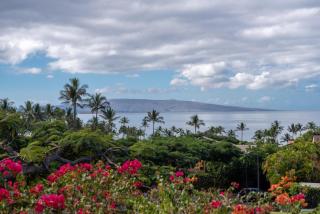 Wailea Ekahi 17D - Wailea - 1