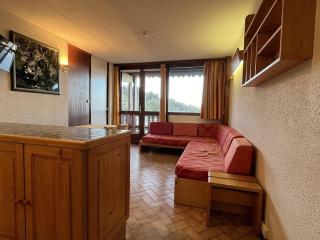 3 pièces à Plagne Centre, proche commerces et Mont Blanc, animaux admis - FR-1-351-222 - La Plagne Tarentaise - 9
