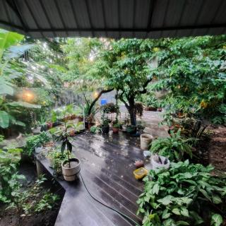 La posada del Virrey - Pucallpa - 2
