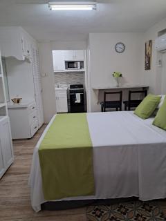 Michand Guest Apartments- Cozy one or two bedroom- 5 walk minutes from airport 10 mins drive to Oistins or beach - Christ Church - 9