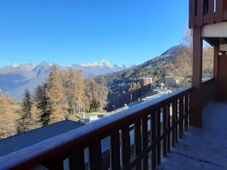 3 pièces à Plagne Centre, proche commerces et Mont Blanc, animaux admis - FR-1-351-222 - La Plagne Tarentaise - 4