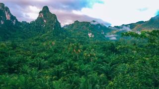 Anurak Community Lodge - SHA Plus - Khao Sok - 3