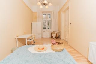 nice 5-room apartment in the heart of the city center near the synagogue - Budapest - 0