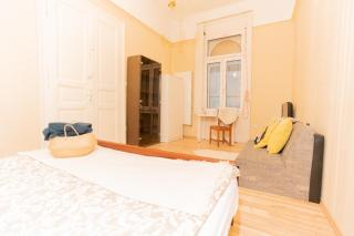 nice 5-room apartment in the heart of the city center near the synagogue - Budapest - 5