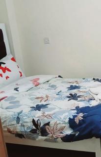Bekar Homestays - Nairobi - 7