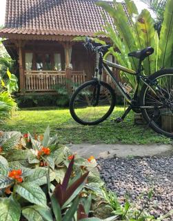 Ubud Auroville bright wooden home with kitchen - Ubud - 6