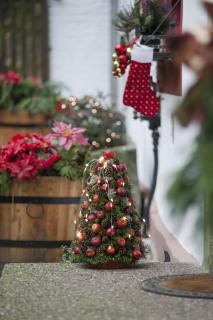 Altes Forstamt im Teutoburger Wald-Fewo Hofgarten - 1