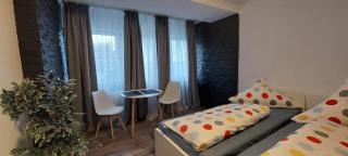 FeWo1&Frisch Renovierte Zweibettzimmer Wohnung - Bad Wurzach - 7