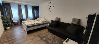 FeWo1&Frisch Renovierte Zweibettzimmer Wohnung - Bad Wurzach - 6