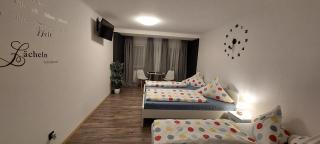 FeWo1&Frisch Renovierte Zweibettzimmer Wohnung - Bad Wurzach - 9