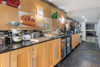 Quality Inn & Suites Mayo Clinic Area - Rochester - 5