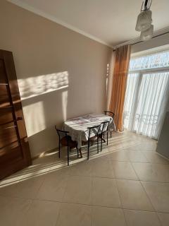 Апартаменти з балконом студія без окремої спальні - 4