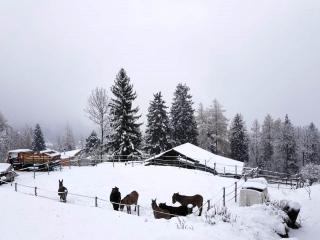 6p Chalet in the mountains near Fiesch ski area - Fiesch - 8