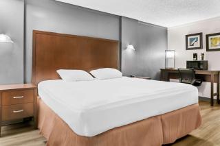 Rodeway Inn & Suites Saginaw I-675 - 2
