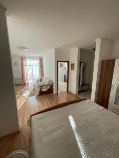 Апартаменти з балконом студія без окремої спальні - 8