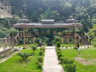 Nature's Nest Resort - Rongli - 4