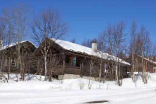 Charming Norwegian-Style Cabin in the Heart of Beitostølen - Beitostøl - 9