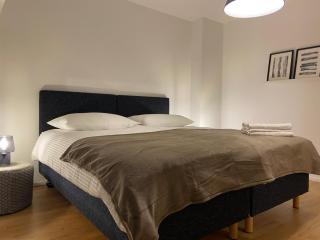 3 BR Duplex in Wiedikon - Zurich - 6