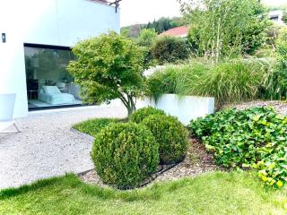 Logement avec hammam - 130 m2 et jardin - Terre de Cocon - Perrignier - 8