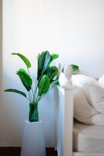 The Bibik at 8 Clarke -NEW Entire #Unesco #HeritageHome - 6