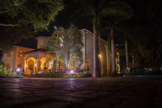 Golden Palm Boutique - 9