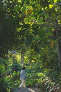 Bhuvarin Resort - Ko Chang - 3