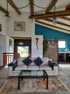 Quirky Bird - Città del Capo - 9