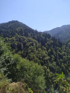 Guest House Lazare - Bordzjomi - 8