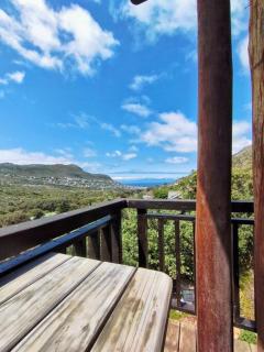 Quirky Bird - Città del Capo - 5