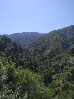 Guest House Lazare - Bordschomi - 9