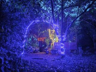 Jomo Hostel And Bar - 8