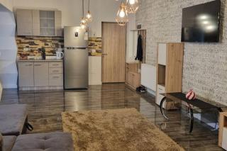 Apartament luxos Parc Romanescu - Craiova - 4