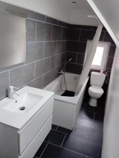 Chambre 3 Rose des Sables - Thionville - 2