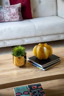 Frank Porter - Widcombe House 3 - Dubai - 5