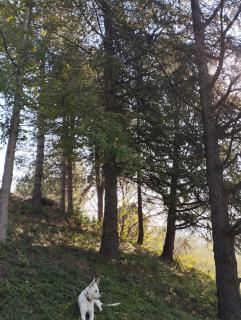 Iza sedam gora - Rakovac - 6