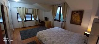 Villaweb, 2rooms ap. 5min drive to center &airport - Iaşi - 9