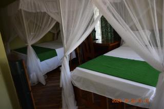 Mwi Village House - Mto wa Mbu - 7