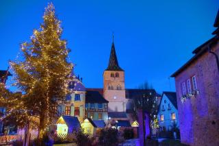 Coquet appartement - Turckheim - 7