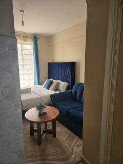 Elegant studio blue stays - 2