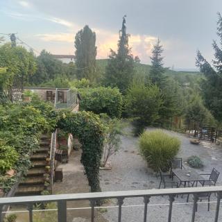 Agriturismo Bric di Gai - Monforte dʼAlba - 9