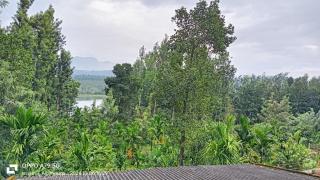 Giridhama homestay - 3