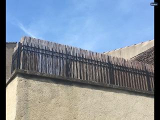 Les canisses - Eygalières - 1