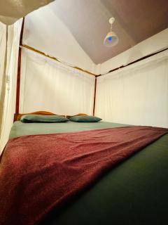 Cozy Sand Beach Hotel - Arugam Bay - 3