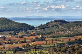 Villa Agello con Idromassaggio - Agello - 5