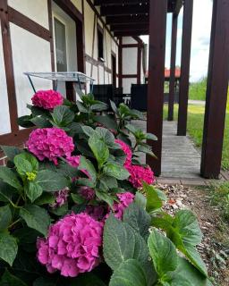 Landhaus Brodack - Alt Zauche - 1