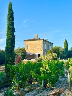Maison Girondine au milieu des vignes du Château d Yquem avec belle vue - Preignac - 5