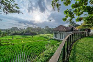 Sola Villa Ubud - Ubud - 1
